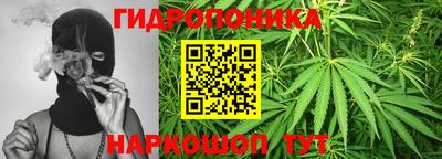 стафф Анапа