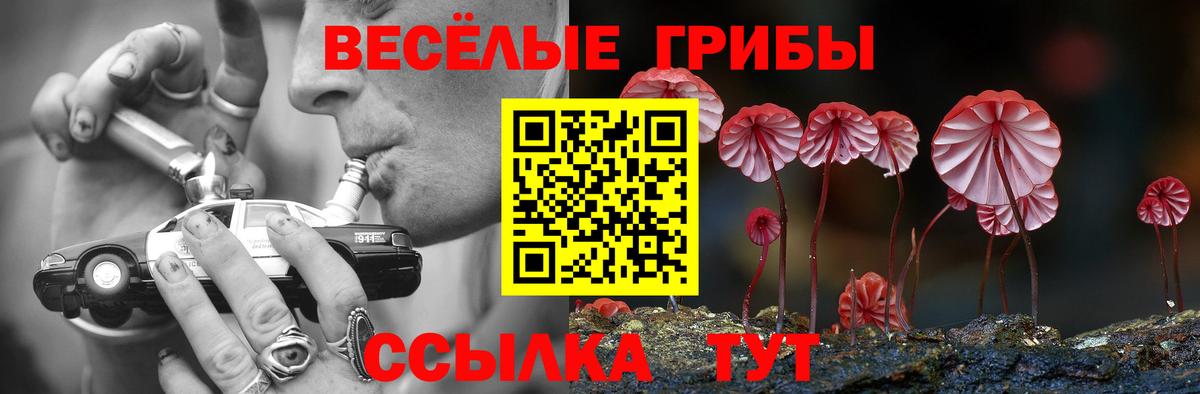 Галлюциногенные грибы GOLDEN TEACHER  Галлюциногенные грибы ЛСД  Вход с VPN  Унеча 